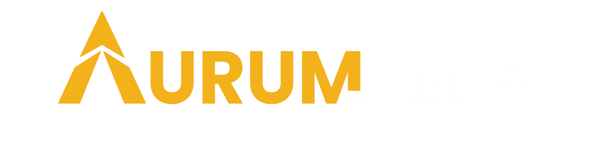 aurumdmg.com